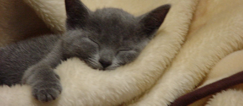 dsc00254.jpg