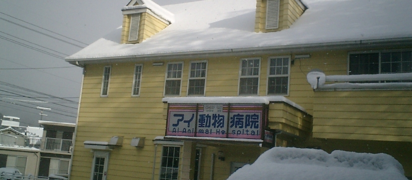 cimg0010.jpg
