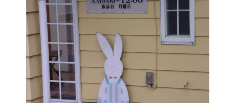 dsc00095.jpg